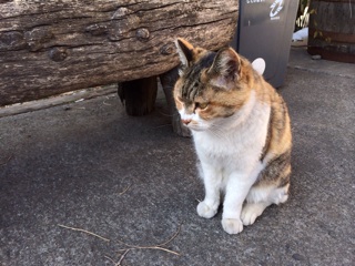 f:id:rmutsumi:20140226105807j:plain f:id:rmutsumi:20140226105807j:plain