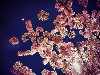 f:id:rmutsumi:20140313202248j:plain f:id:rmutsumi:20140313202248j:plain