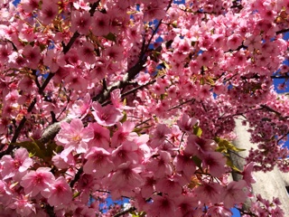f:id:rmutsumi:20140313202456j:plain f:id:rmutsumi:20140313202456j:plain