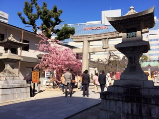 f:id:rmutsumi:20140313211101j:plain f:id:rmutsumi:20140313211101j:plain