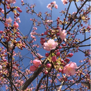 f:id:rmutsumi:20150221145822j:plain f:id:rmutsumi:20150221145822j:plain