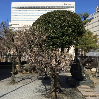f:id:rmutsumi:20150221150202j:plain f:id:rmutsumi:20150221150202j:plain