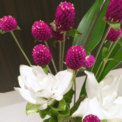 f:id:rmutsumi:20150901215737j:image f:id:rmutsumi:20150901215737j:image
