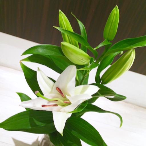 f:id:rmutsumi:20150901222732j:image f:id:rmutsumi:20150901222732j:image