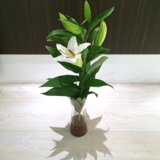 f:id:rmutsumi:20150901224004j:image f:id:rmutsumi:20150901224004j:image