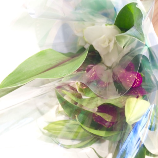 f:id:rmutsumi:20150901231805j:image f:id:rmutsumi:20150901231805j:image
