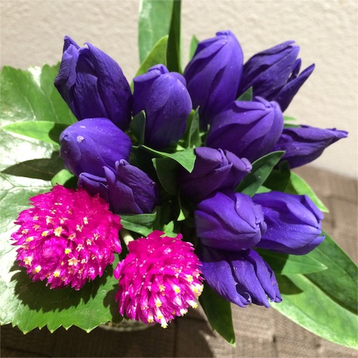 f:id:rmutsumi:20150927144201j:image f:id:rmutsumi:20150927144201j:image