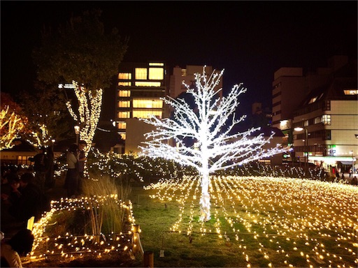 f:id:rmutsumi:20151124031932j:image f:id:rmutsumi:20151124031932j:image