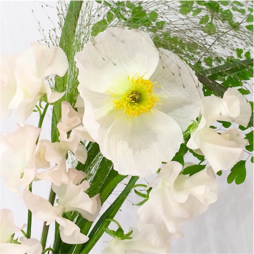 f:id:rmutsumi:20160110122653j:image f:id:rmutsumi:20160110122653j:image