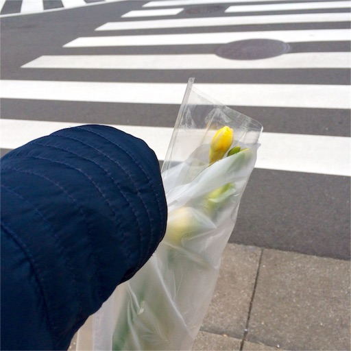 f:id:rmutsumi:20160115083706j:image f:id:rmutsumi:20160115083706j:image