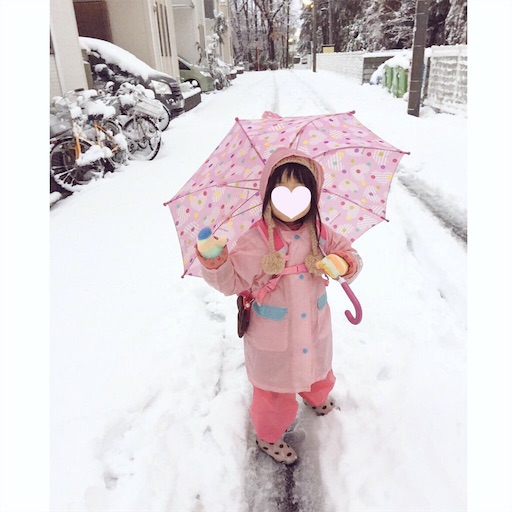 f:id:rmutsumi:20160119145813j:image f:id:rmutsumi:20160119145813j:image