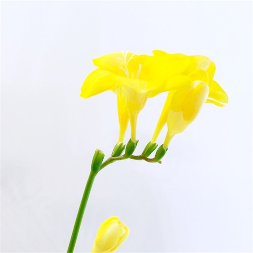 f:id:rmutsumi:20160124183527j:image f:id:rmutsumi:20160124183527j:image