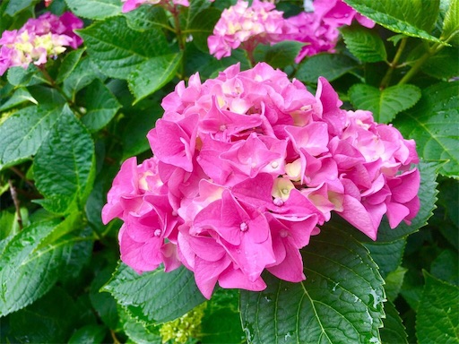 f:id:rmutsumi:20160601153844j:image f:id:rmutsumi:20160601153844j:image