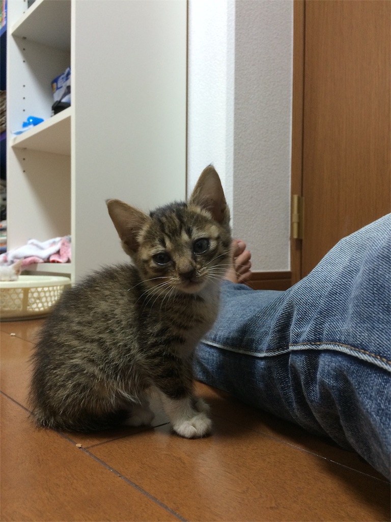 f:id:rn5sto:20151014144435j:image f:id:rn5sto:20151014144435j:image