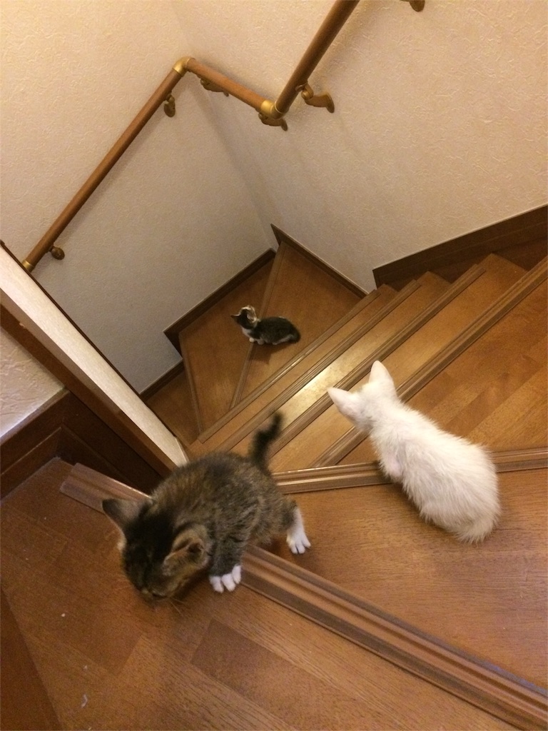 f:id:rn5sto:20151014145626j:image f:id:rn5sto:20151014145626j:image