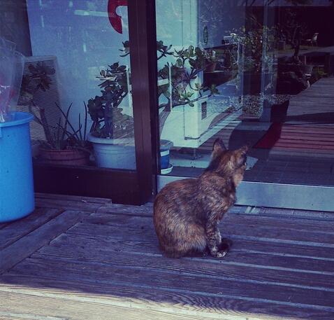 f:id:rntriple6:20140929220500j:plain f:id:rntriple6:20140929220500j:plain