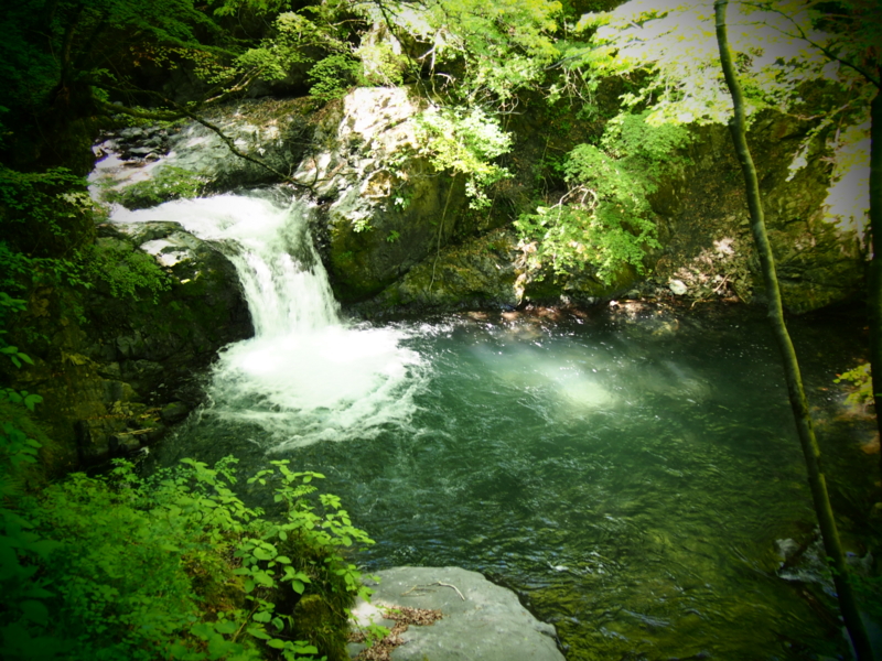 f:id:rntriple6:20150505141833j:plain f:id:rntriple6:20150505141833j:plain