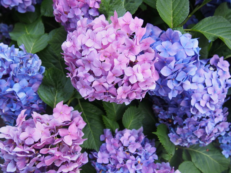 f:id:rntriple6:20150620151547j:plain