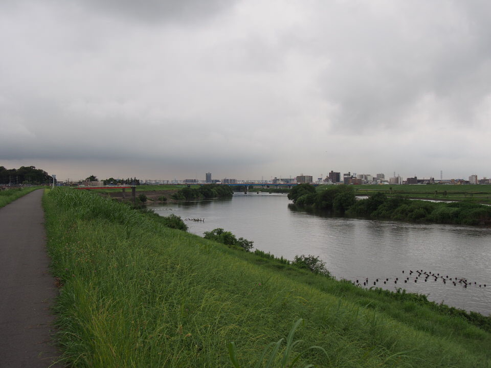 f:id:rntriple6:20150627142749j:plain f:id:rntriple6:20150627142749j:plain