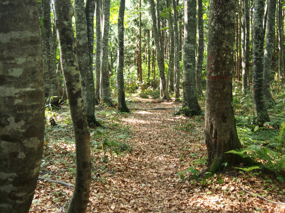 f:id:rntriple6:20150711152728j:plain f:id:rntriple6:20150711152728j:plain