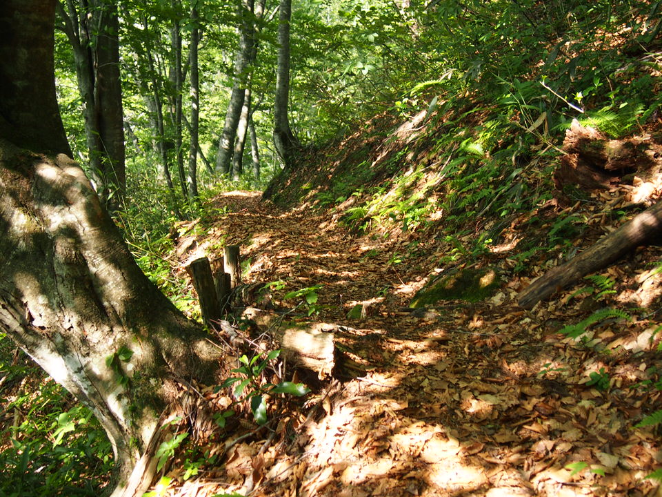 f:id:rntriple6:20150711153022j:plain f:id:rntriple6:20150711153022j:plain