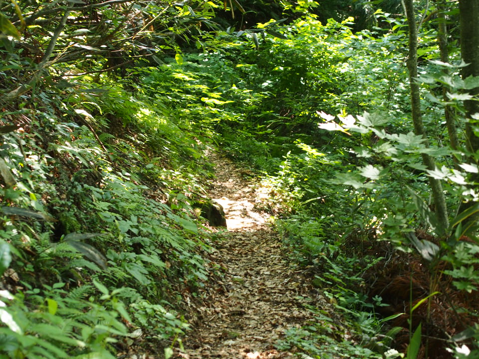 f:id:rntriple6:20150711153753j:plain f:id:rntriple6:20150711153753j:plain