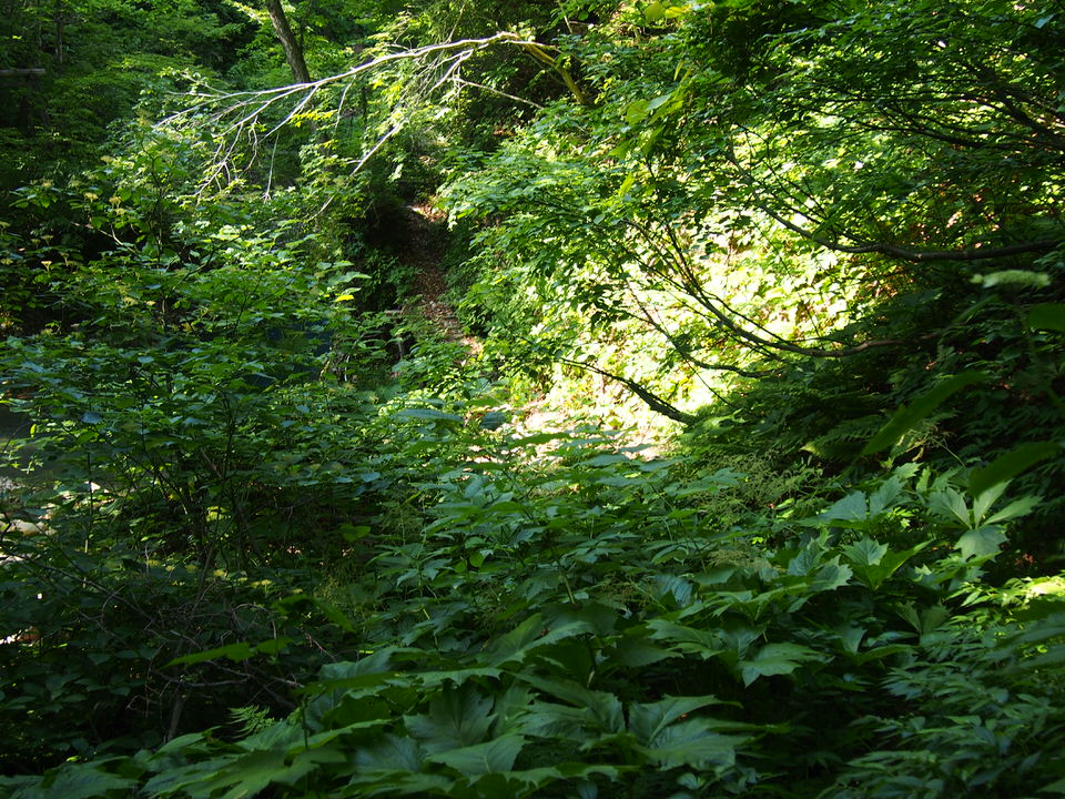 f:id:rntriple6:20150711154256j:plain f:id:rntriple6:20150711154256j:plain