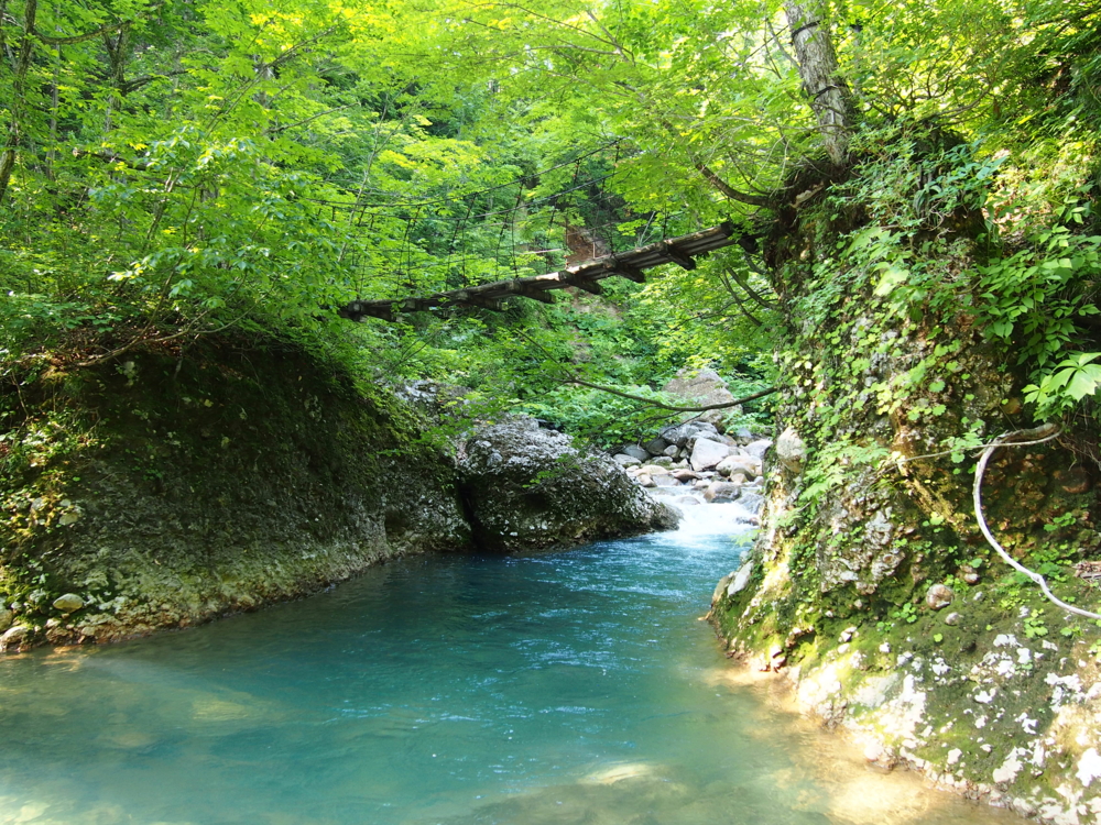 f:id:rntriple6:20150711154404j:plain f:id:rntriple6:20150711154404j:plain