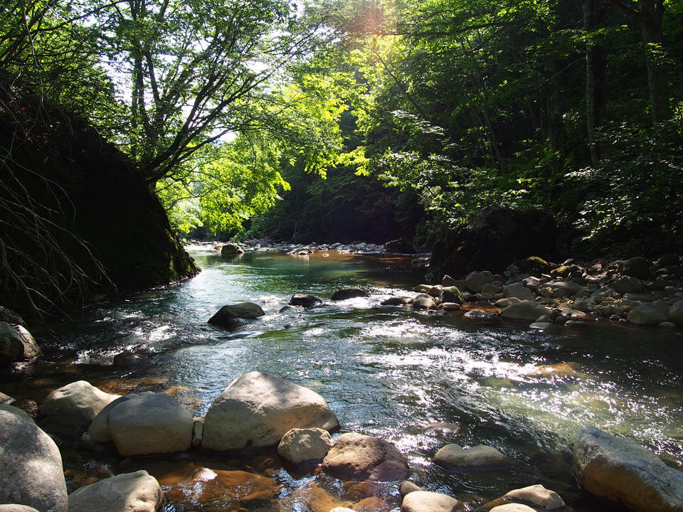 f:id:rntriple6:20150711154408j:plain f:id:rntriple6:20150711154408j:plain