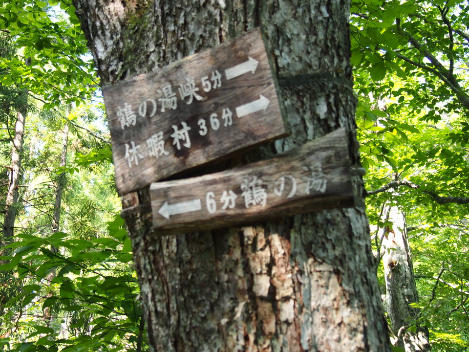 f:id:rntriple6:20150711154903j:plain f:id:rntriple6:20150711154903j:plain