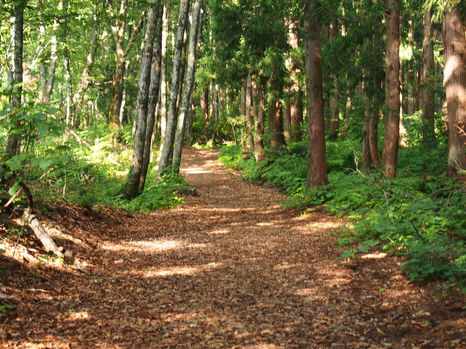 f:id:rntriple6:20150711155559j:plain f:id:rntriple6:20150711155559j:plain