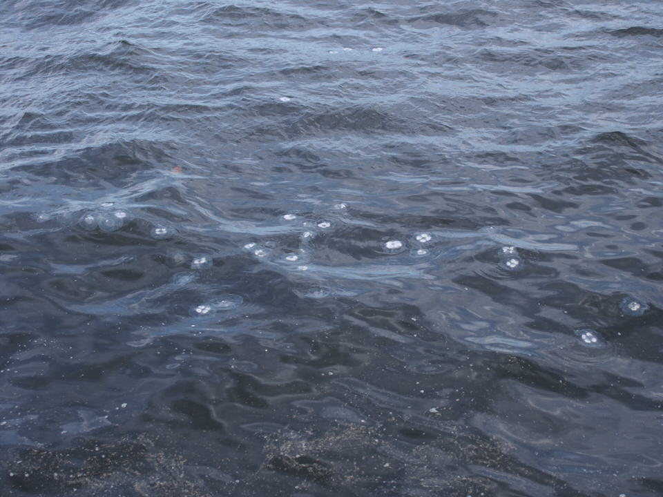 f:id:rntriple6:20150719164317j:plain f:id:rntriple6:20150719164317j:plain