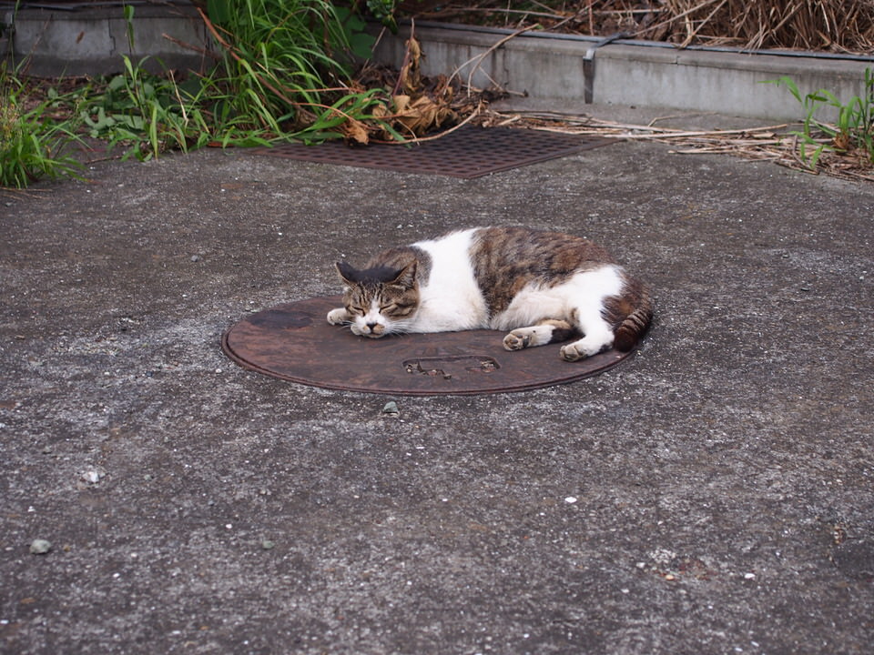 f:id:rntriple6:20150719171709j:plain f:id:rntriple6:20150719171709j:plain