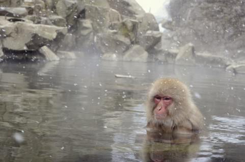 f:id:rntriple6:20160111001737j:plain f:id:rntriple6:20160111001737j:plain