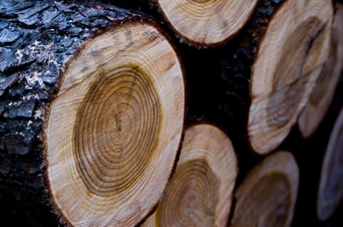 f:id:rntriple6:20160120210743j:plain f:id:rntriple6:20160120210743j:plain