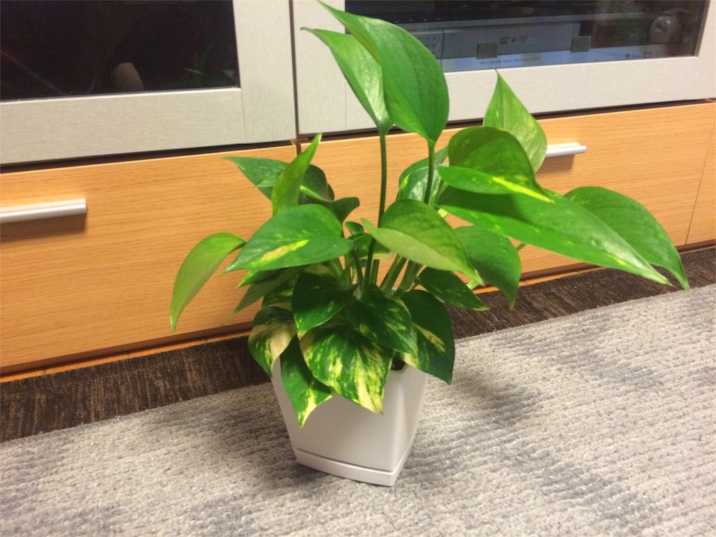 f:id:roaming314:20160513213007j:image f:id:roaming314:20160513213007j:image