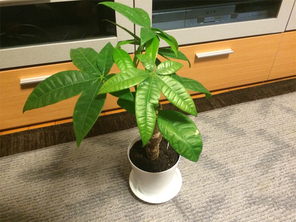f:id:roaming314:20160513213103j:image f:id:roaming314:20160513213103j:image