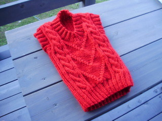 f:id:robin-knit:20091012101410j:image f:id:robin-knit:20091012101410j:image