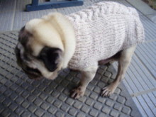 f:id:robin-knit:20100114145749j:image:w220 f:id:robin-knit:20100114145749j:image:w220