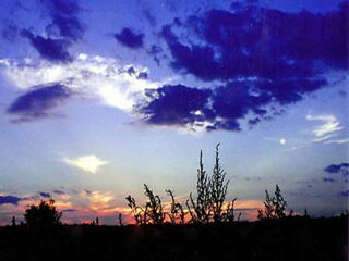 f:id:robin4811:20160518073046j:image f:id:robin4811:20160518073046j:image