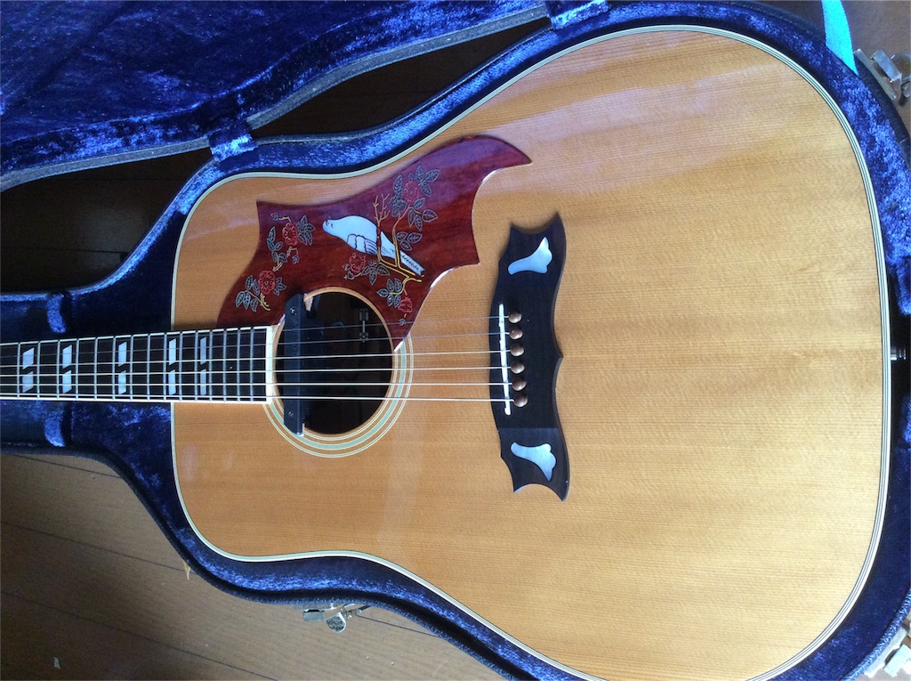 f:id:rockn-guitar:20160601233945j:image f:id:rockn-guitar:20160601233945j:image
