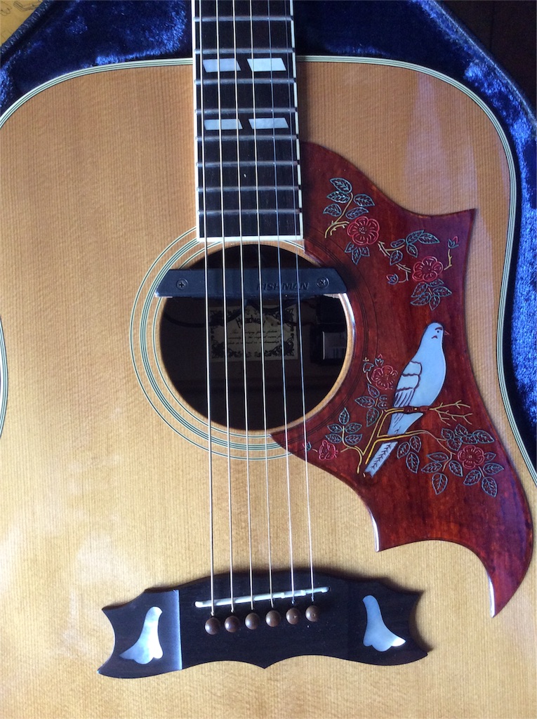 f:id:rockn-guitar:20160601234526j:image f:id:rockn-guitar:20160601234526j:image