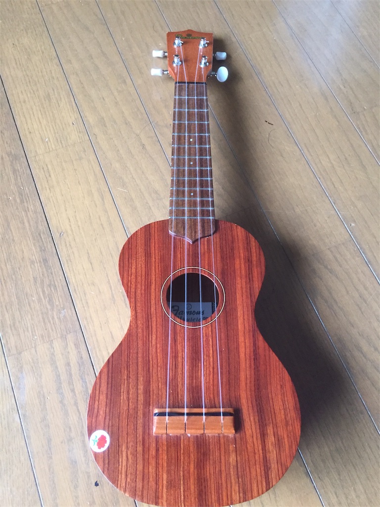 f:id:rockn-guitar:20160612102424j:image f:id:rockn-guitar:20160612102424j:image