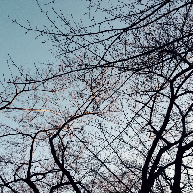 f:id:rockn212:20150110164618j:plain f:id:rockn212:20150110164618j:plain