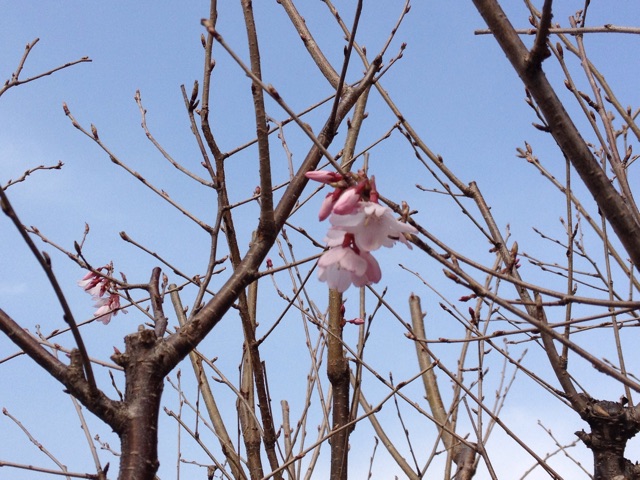 f:id:rockn212:20150322203137j:plain f:id:rockn212:20150322203137j:plain