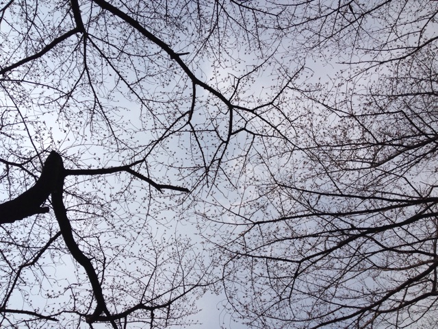 f:id:rockn212:20150322203344j:plain f:id:rockn212:20150322203344j:plain