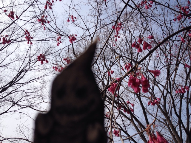 f:id:rockn212:20150322203541j:plain f:id:rockn212:20150322203541j:plain