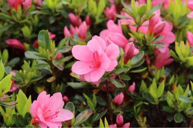 f:id:rockn212:20150413001356j:plain f:id:rockn212:20150413001356j:plain