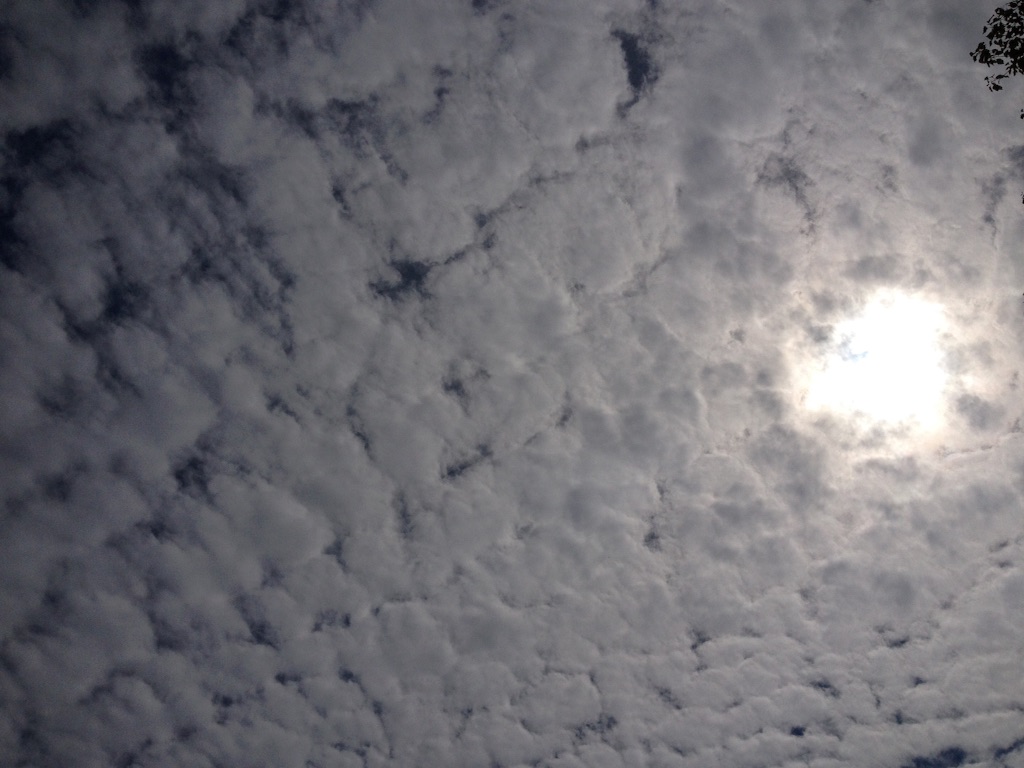 f:id:rockn212:20150921125743j:image f:id:rockn212:20150921125743j:image
