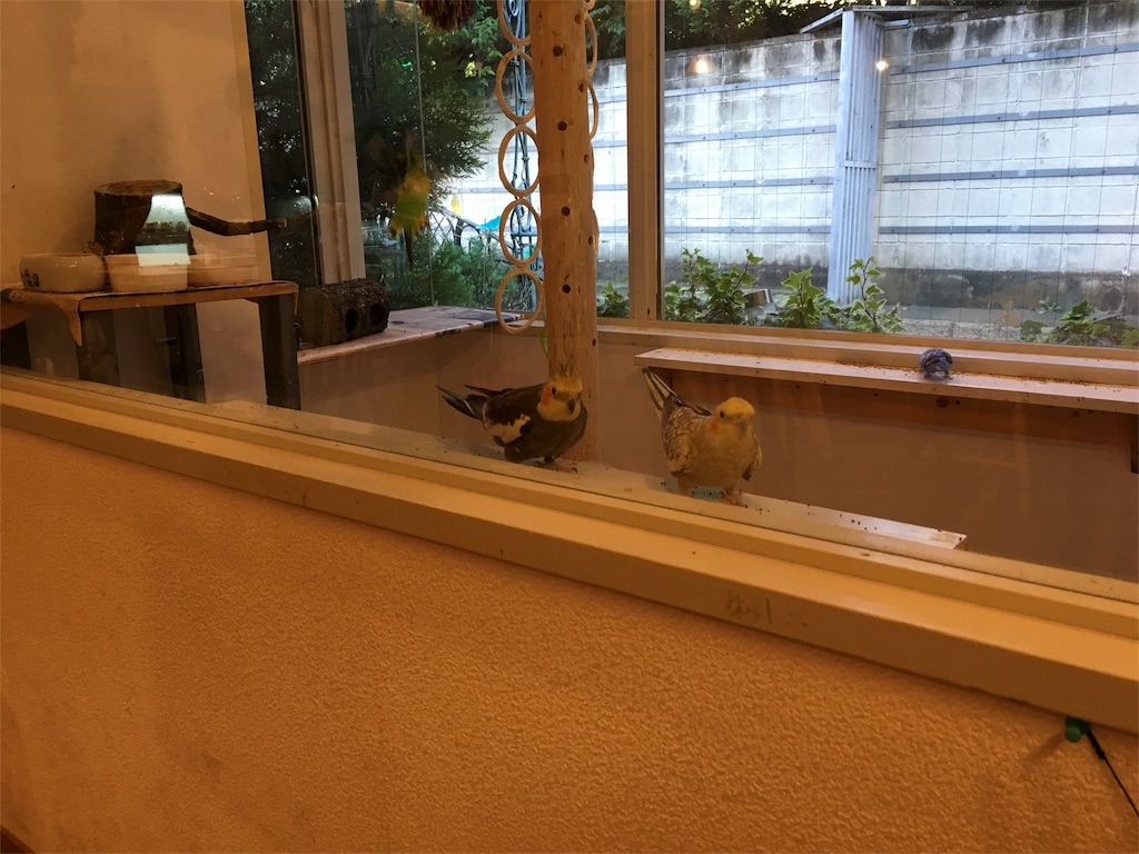 f:id:rockn212:20151024110515j:image f:id:rockn212:20151024110515j:image